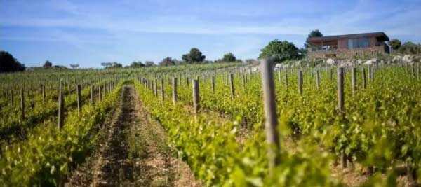 朗格多克Languedoc与鲁西荣Roussillon酒产区介绍