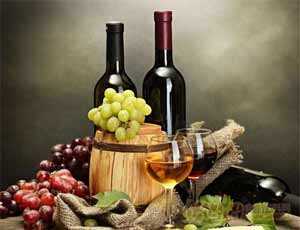 南美葡萄酒的历史