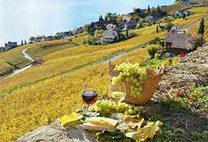 瑞士葡萄酒的起源文化