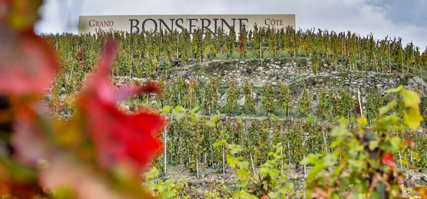 宝赛林酒庄 Domaine de Bonserine