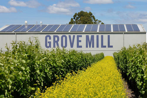 格罗米尔酒庄 Grove Mill
