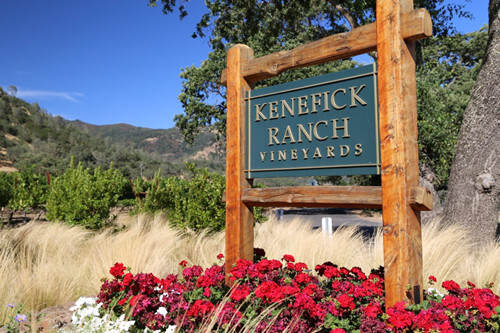 肯尼菲克酒庄 Kenefick Ranch