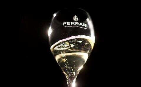 法拉利酒庄 Ferrari