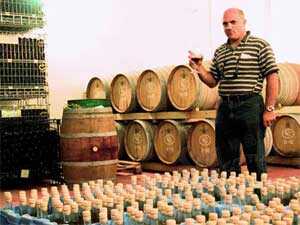 以色列的葡萄酒文化