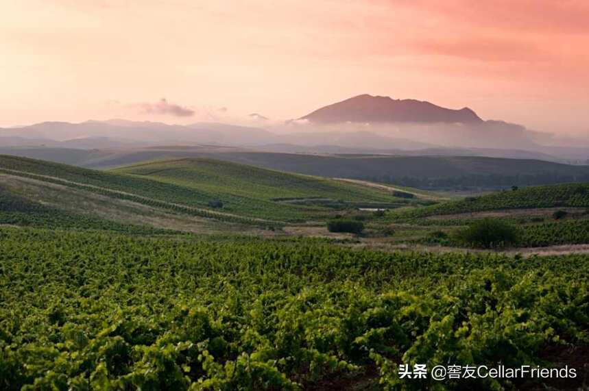 全球十大最具性价比的葡萄酒产区