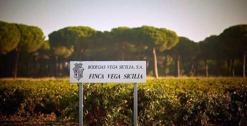 除了Vega Sicilia和Pingus，最适合收藏的西班牙酒有这些！