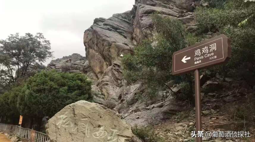「宁夏游记 6」烟雨缭绕的岩石山，精耕细作的名麓酒