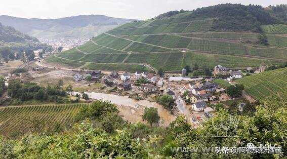 德国：洪水意外带来了洪水葡萄酒