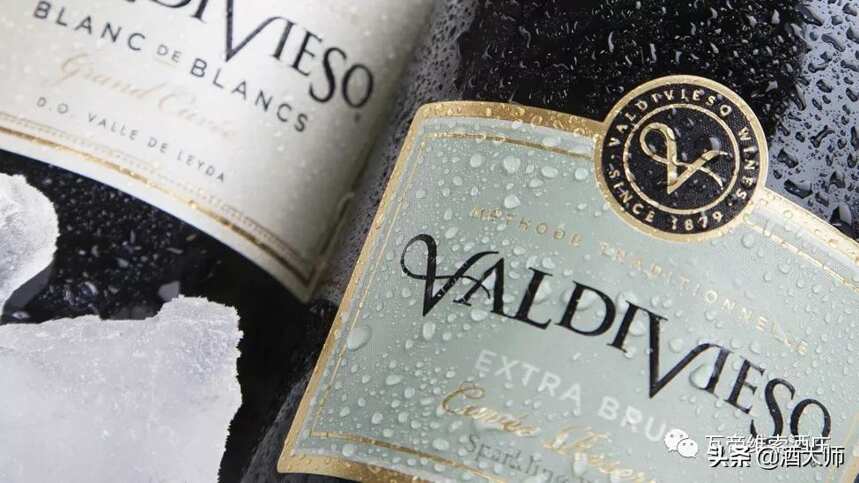 南美首个起泡酒生产商瓦帝维索酒庄登陆中国