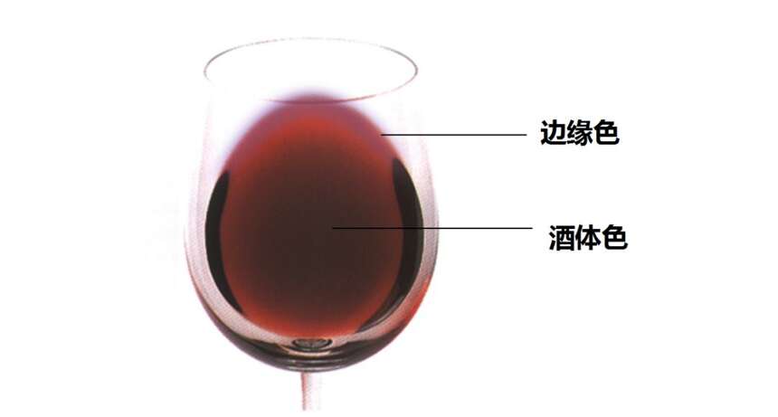 什么颜色的葡萄酒最好？你们知道吗？