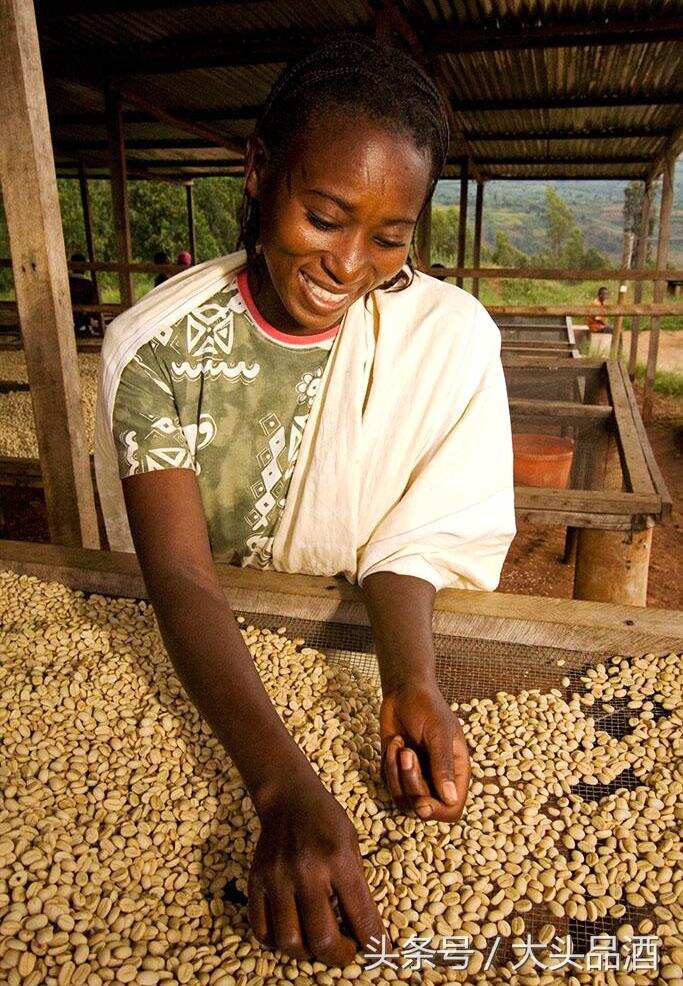 世界十大最贵的咖啡品种，星巴克榜上有名！