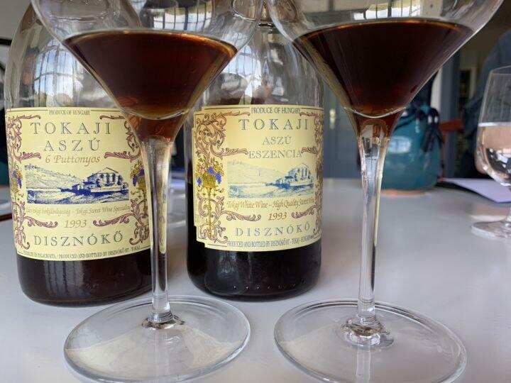 苏玳和托卡伊，两大世界顶级贵腐酒究竟有什么不同？