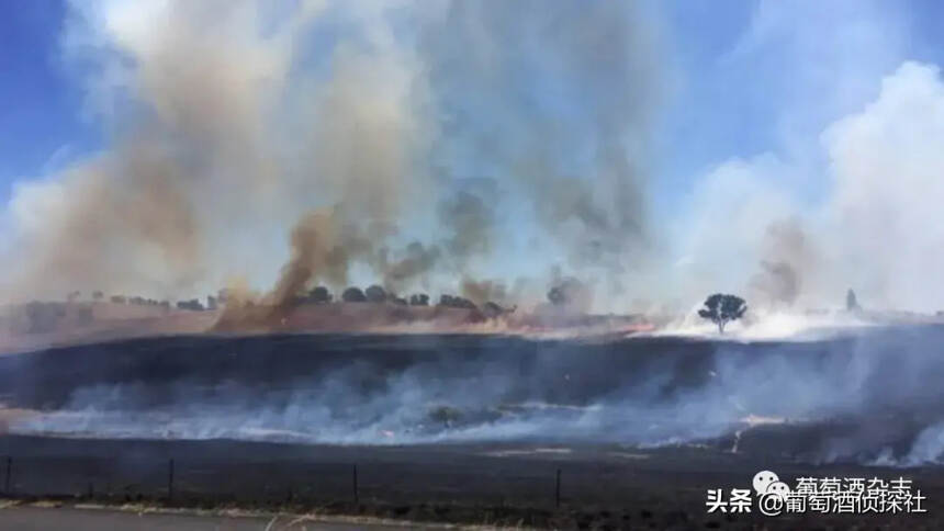 澳大利亚的山火终于停了，受灾最严重的阿德莱德山你了解多少？