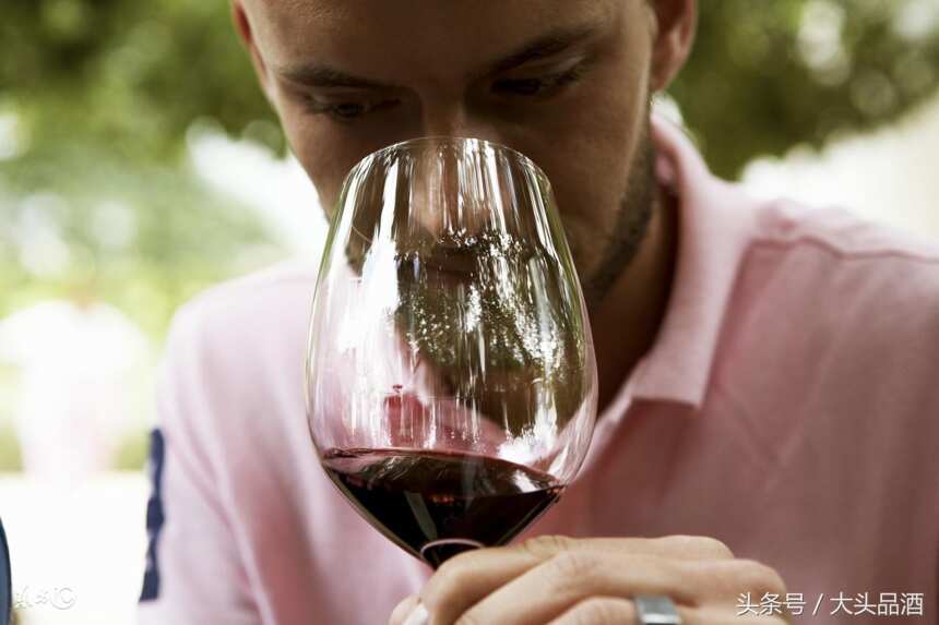 大头品酒：所谓的葡萄酒大师如何品鉴葡萄酒！