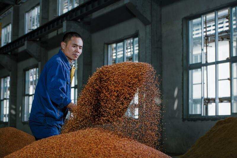潜行十年布局酱香，贵州安酒将建2万吨酱酒基地