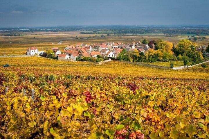 为什么勃艮第很多顶尖的葡萄园都叫Perrières？