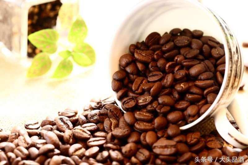 世界十大最贵的咖啡品种，星巴克榜上有名！