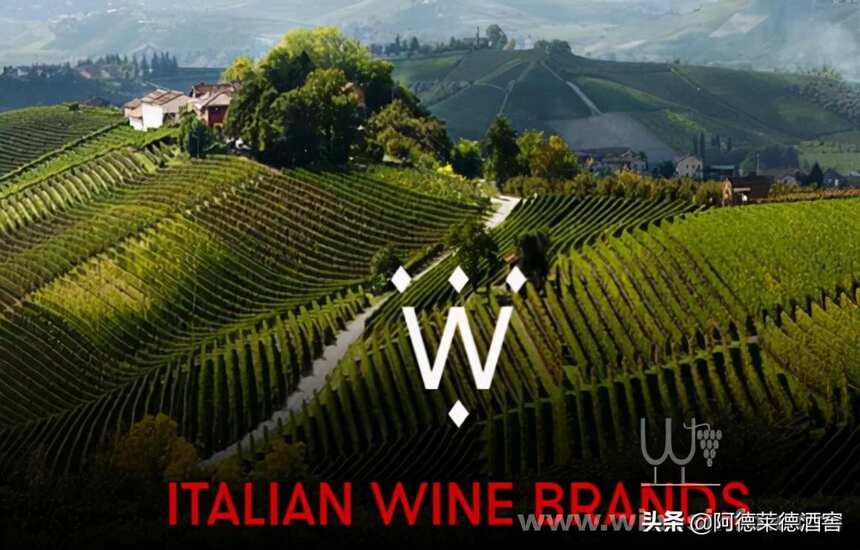 意大利最大私营葡萄酒企业营业额超4亿欧元