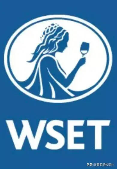 WSET二级葡萄酒认证课程