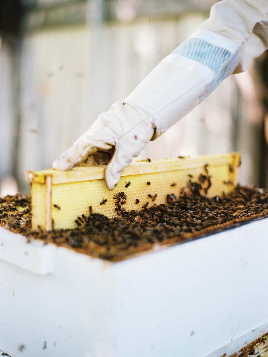 同样是蜂蜜，为什么有的价格能差几十倍？