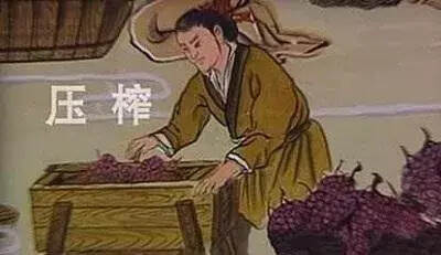 葡萄酒中国发展史：两千载几经起伏，新时期向阳而生