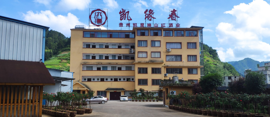 凯里市大湾区招商队在凯缘春深圳总部成立，杨波市长亲临指导工作