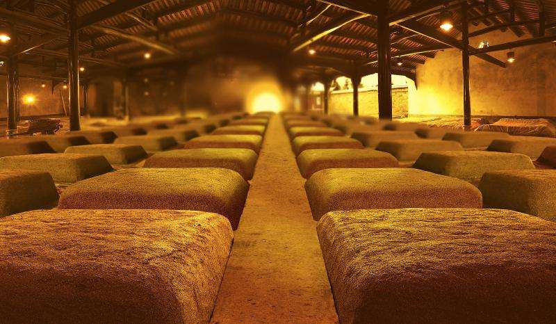 千年老窖万年槽，好酒凭借窖龄老，中国著名窖池，你知道几个？