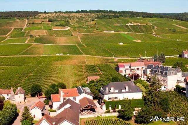 看懂勃艮第，全球最贵的葡萄酒产区？