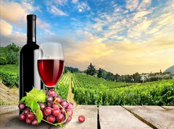 红酒知识丨葡萄酒的起源，你知道吗？