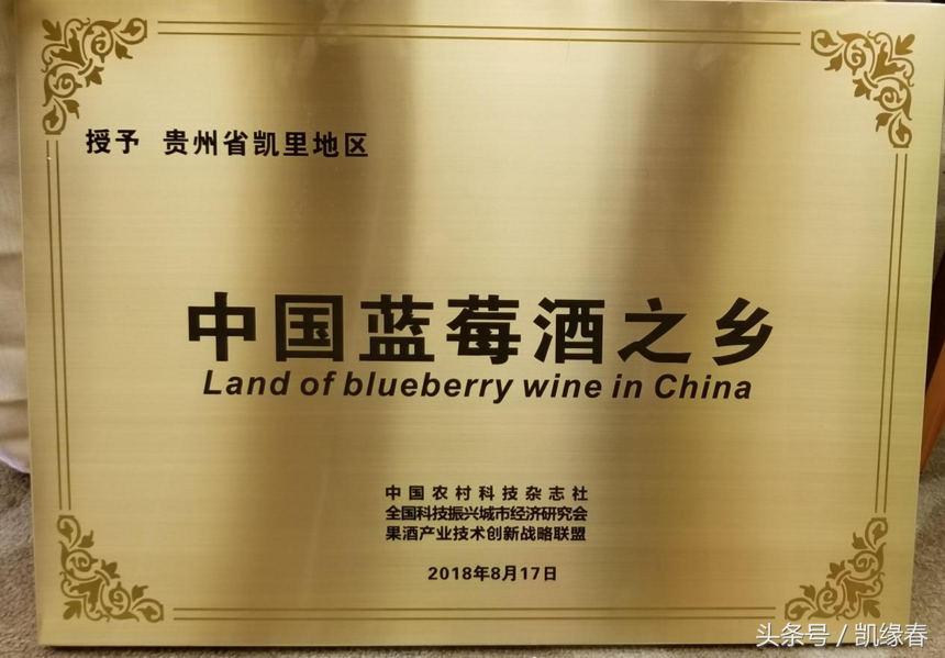 第二届世界饮品大会闭幕《中国蓝莓酒之乡》《中国柿酒之乡》授牌