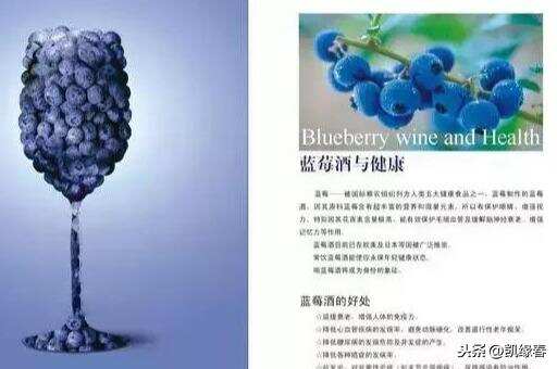 常喝蓝莓酒给人体带来惊人的变化？