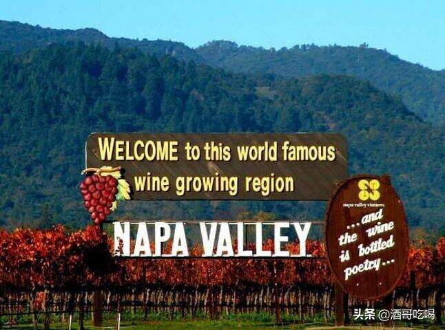看懂纳帕谷，美国最著名的葡萄酒产区？