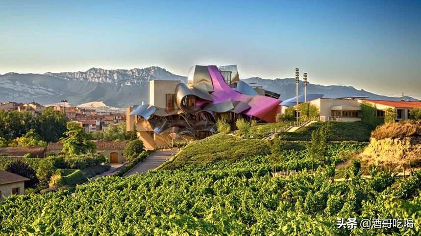 看懂里奥哈，西班牙最著名的葡萄酒产区？