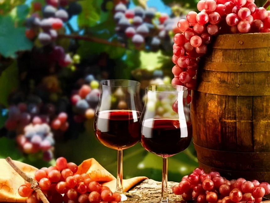 红酒知识丨国产红酒与进口红酒的区别？