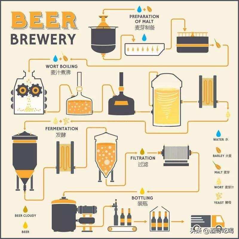 啤酒入门，艾尔啤酒与拉格啤酒的区别？