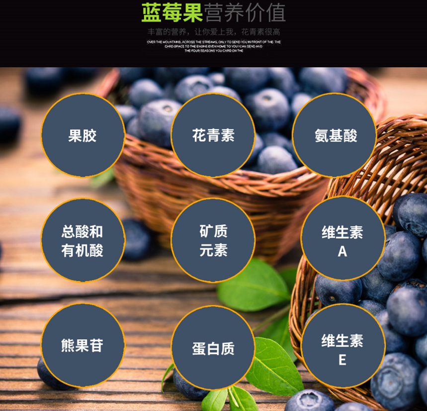 地标产品“麻江蓝莓”蔚然成风，为蓝莓红酒蓄势赋能