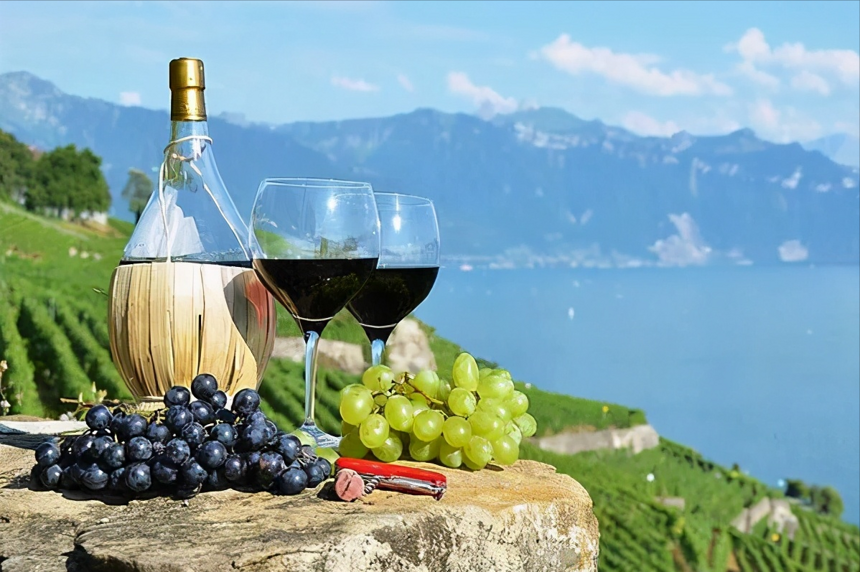 红酒知识丨葡萄酒的起源，你知道吗？