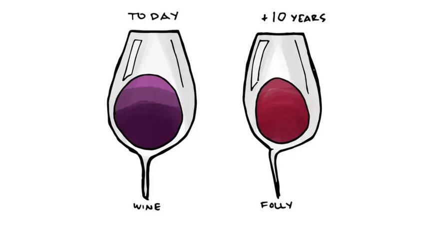 10个关于红酒的有趣事实