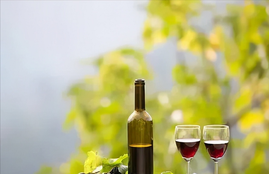 红酒知识 | 关于葡萄酒的酒精度数，你了解多少？