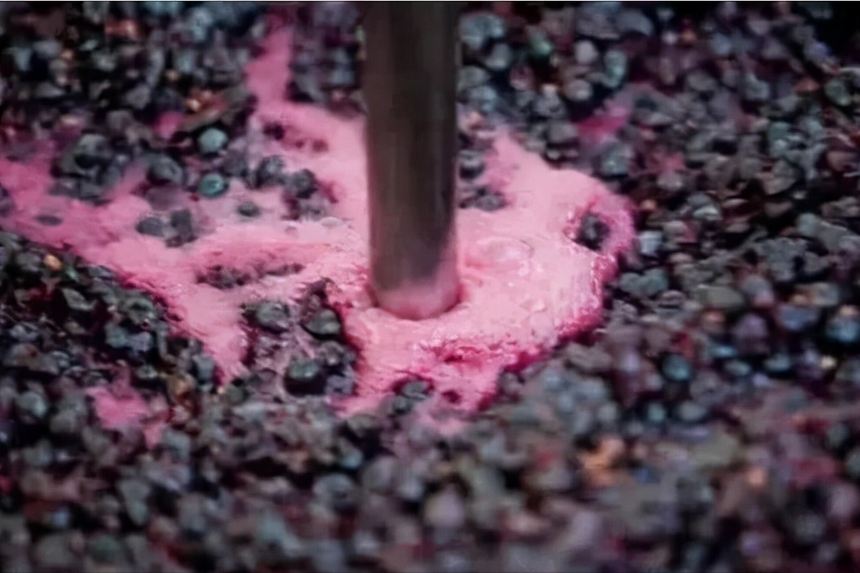 红酒知识 | 为什么葡萄酒中要加二氧化硫？