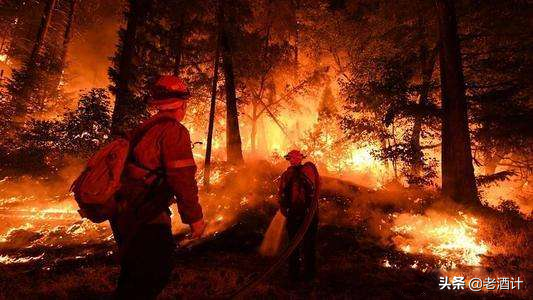 消防英雄鏖战68小时，扑灭森林大火，起火原因竟是清明上坟！