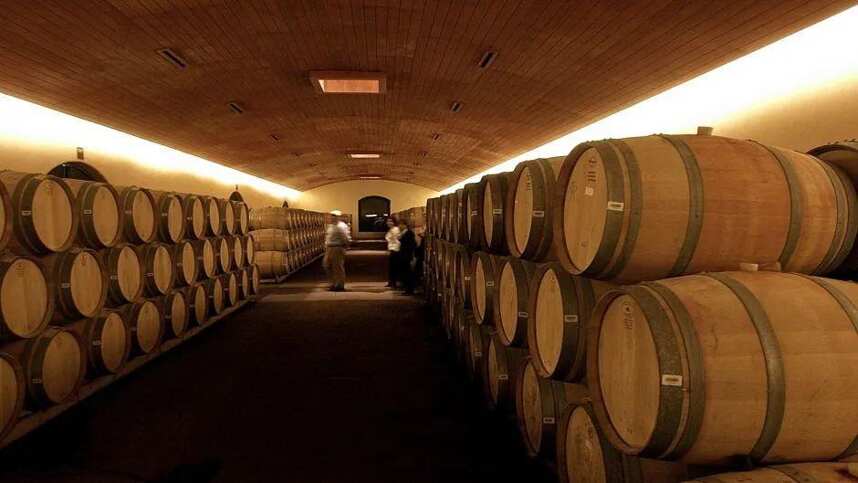 全球最受推崇葡萄酒品牌——智利干露