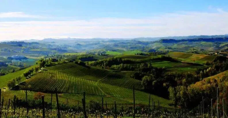 盘点意大利知名的葡萄酒产区