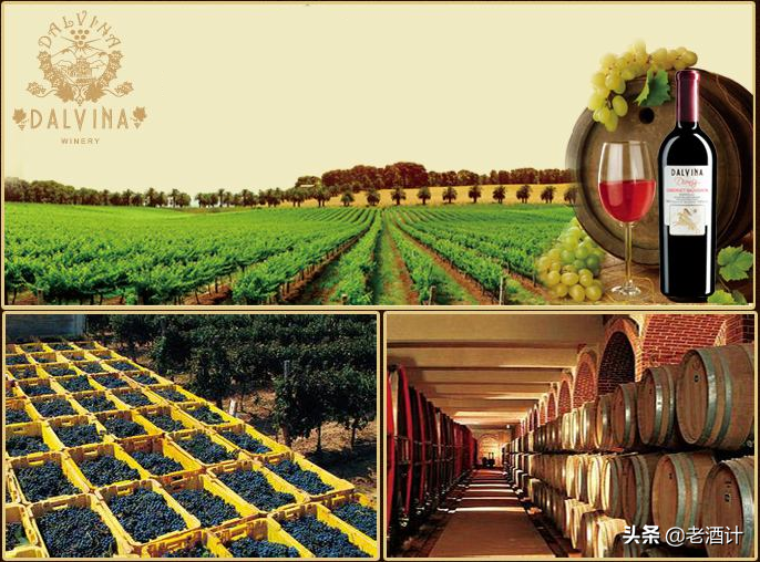 2019进博会，135个国家和地区携葡萄酒入驻中国市场