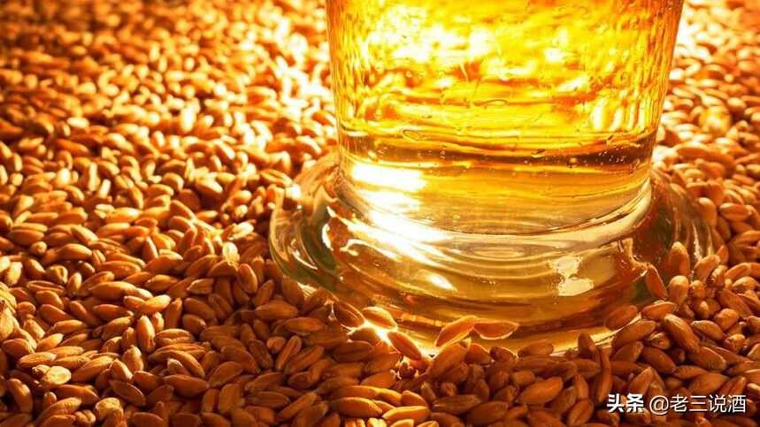 为什么酿造威士忌钟情于大麦