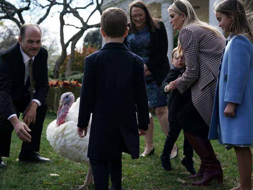 白宫举办火鸡赦免仪式，伊万卡同框妹妹比美
