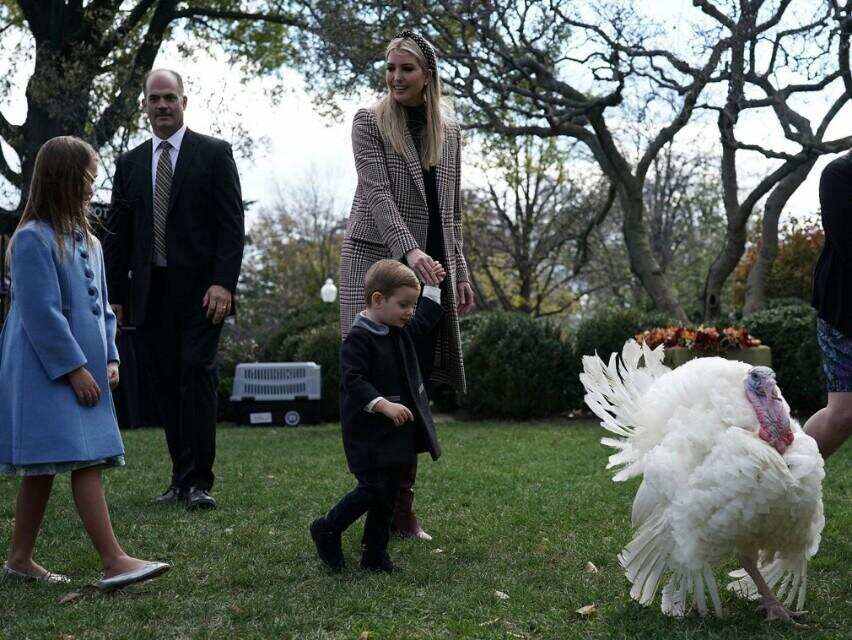 白宫举办火鸡赦免仪式，伊万卡同框妹妹比美