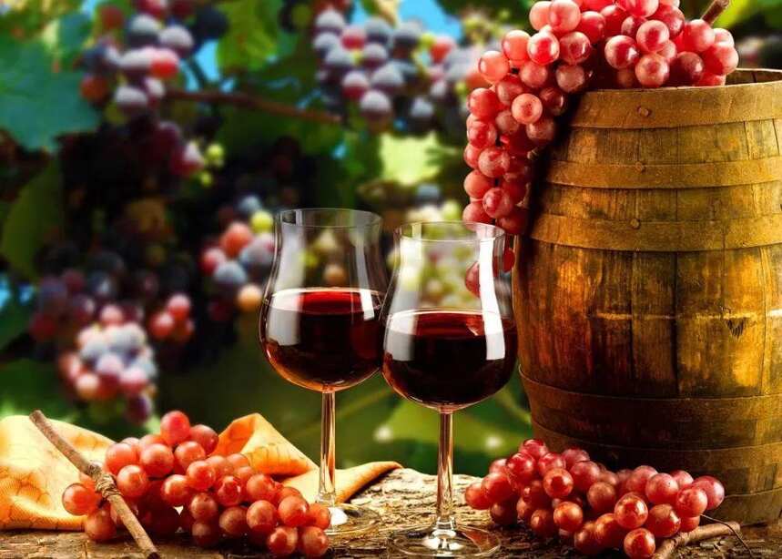 葡萄酒的余味越长酒就越好吗？