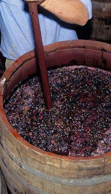 「法庄」葡萄酒的酿造过程