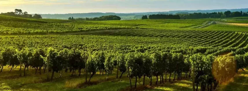 法国波尔多十大顶级酒庄排名（法国最好的葡萄酒品牌是什么）